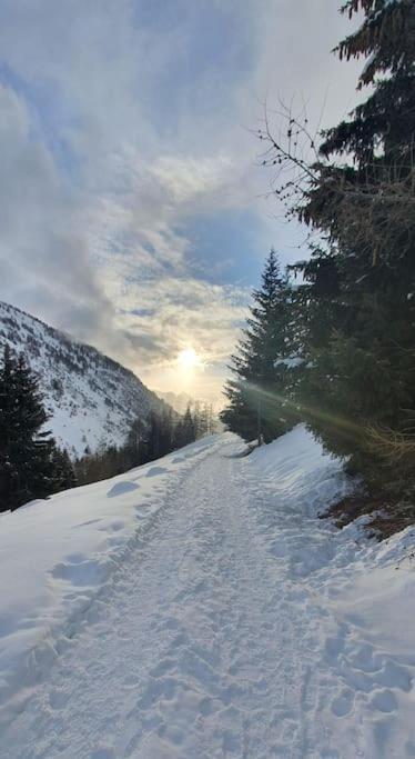 Residenza Sofia - Ponte Di Legno Fraz. Pezzo Villa Exteriör bild